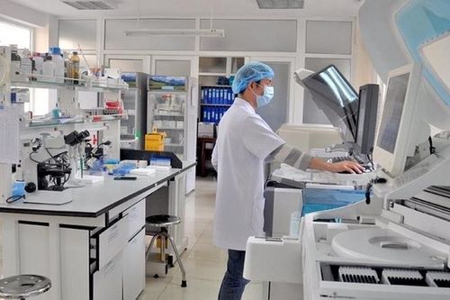 Gần 600 F1 của chuyên gia người Nhật tử vong đều âm tính với SARS-CoV-2