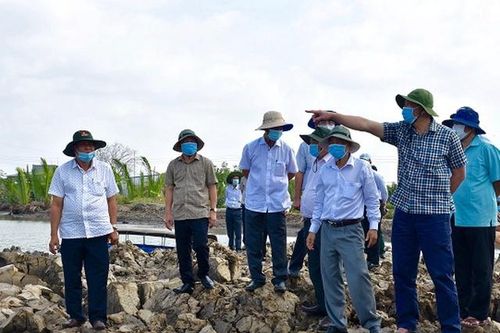 Kiên Giang chi 150 tỷ đồng khắc phục khẩn cấp sạt lở đê biển Tây