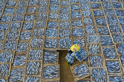 Nhiếp ảnh gia Việt Nam đoạt giải vàng cuộc thi ảnh quốc tế TIFA