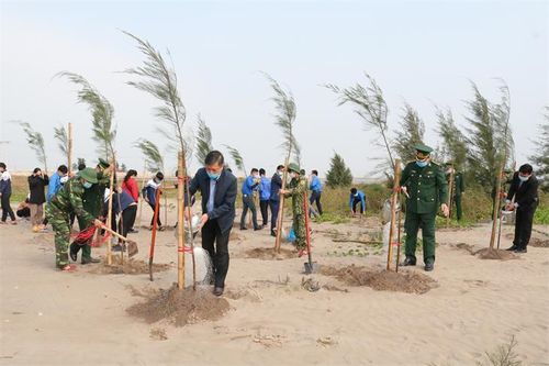 Các đơn vị hưởng ứng 'Tết trồng cây đời đời nhớ ơn Bác Hồ'
