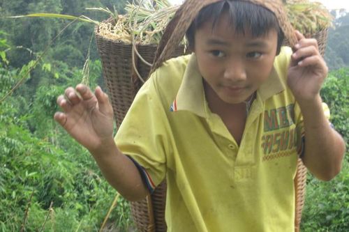 Thanh Hóa: Phấn đấu 100% trẻ em khó khăn vùng dân tộc thiểu số và miền núi được mặc đồ ấm