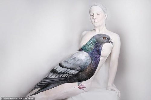 Ảnh khỏa thân biến thành động vật của nghệ sĩ body-painting gây sửng sốt