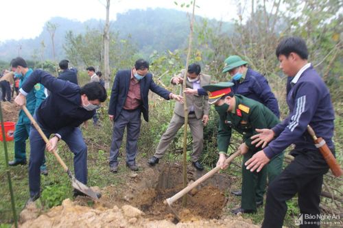 Con Cuông trồng hơn 2.000 cây xanh đầu Xuân Tân Sửu