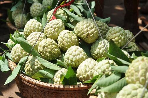 Ăn phải hạt của những loại trái cây này sẽ nguy hại khôn lường