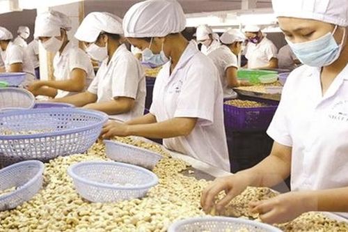 Từ loại hạt chỉ biết nướng ăn chơi đến ngôi vương thế giới
