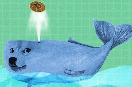Bất ngờ một 'cá mập' đang sở hữu 2,1 tỷ USD tiền ảo Dogecoin
