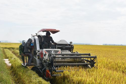 Phú Thiện khai thác tiềm năng, thế mạnh để phát triển bền vững
