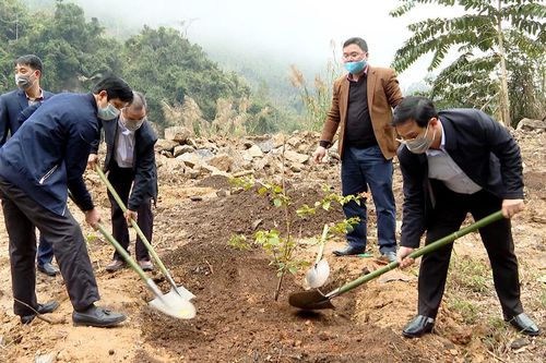 Lâm Bình phát động Tết trồng cây