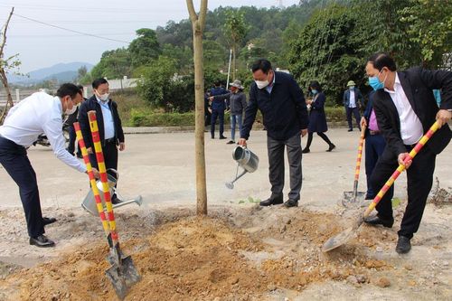 Năm 2021, huyện Sóc Sơn phấn đấu trồng mới 12 nghìn cây xanh