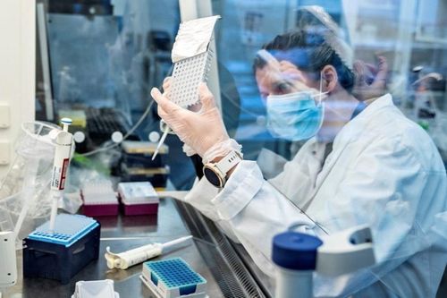 Phát hiện đột biến có thể làm suy yếu biến chủng SARS-CoV-2