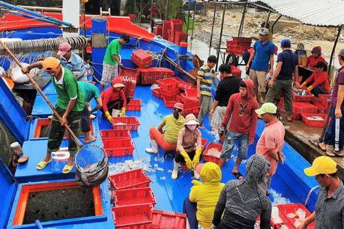 Ngư dân trở về với đầy ắp 'lộc biển' đầu năm