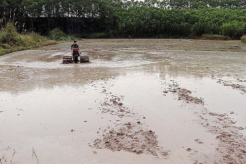 Các địa phương ra quân sản xuất đầu xuân