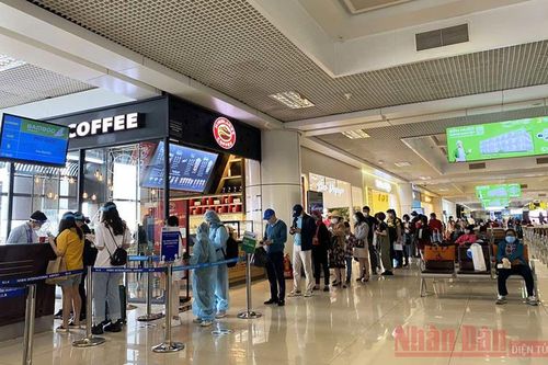 Chấp nhận bấp bênh vì Covid-19, ngành du lịch bảo đảm an toàn cho du khách dịp Tết Nguyên đán