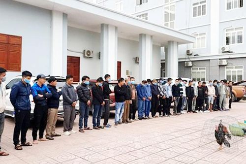 Phá sới gà 'khủng'