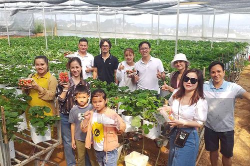 Tạo sức bật cho du lịch canh nông