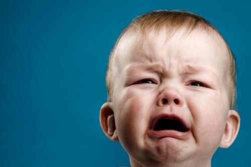 Truyện cười hay: Nghịch dại ở chuồng khỉ