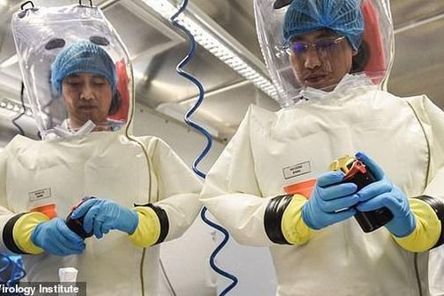 Nghiên cứu mới: Virus SARS-CoV-2 biến thể dễ lây lan hơn gấp 8 lần chủng Vũ Hán