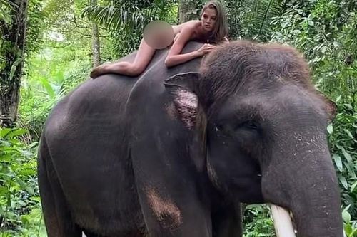 Nữ người mẫu bị chỉ trích vì khỏa thân trên lưng voi
