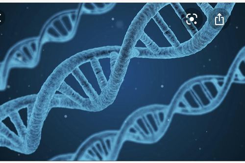 Gene có thể đóng vai trò quyết định khả năng miễn dịch đối với COVID-19