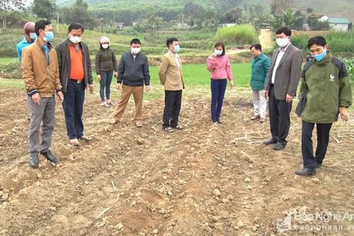 Lãnh đạo huyện Anh Sơn kiểm tra sản xuất đầu năm