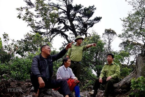 Hòa Bình: Người Mông giữ rừng nguyên sinh phát triển du lịch bền vững