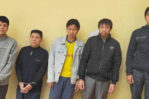 Bắt nhóm đối tượng vào rừng trộm cắp 33 con trâu, bò