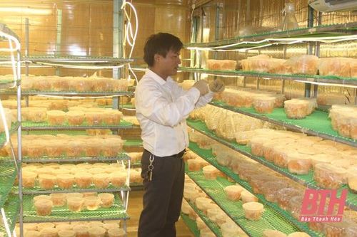 Ông chủ '8X' của 3 sản phẩm OCOP
