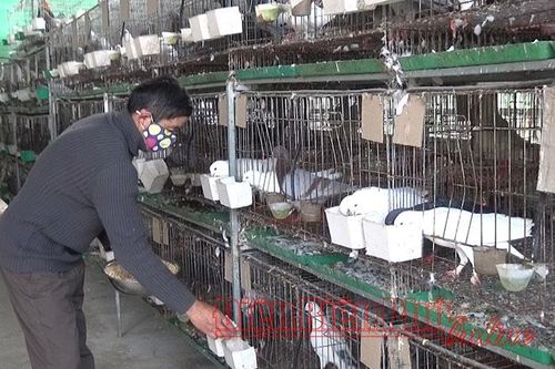 Quài Tở đưa nghị quyết vào cuộc sống