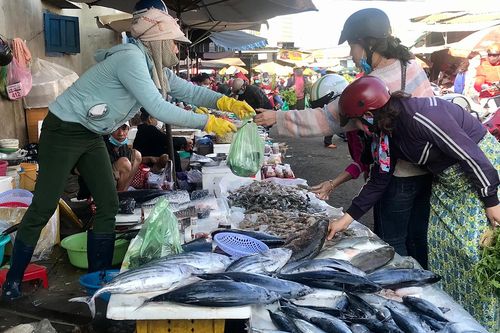 Thị trường thực phẩm Pleiku: Sức mua tăng nhưng giá vẫn ổn định