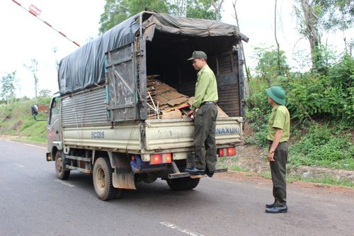 Gia Lai: Quyết liệt triển khai các giải pháp bảo vệ rừng