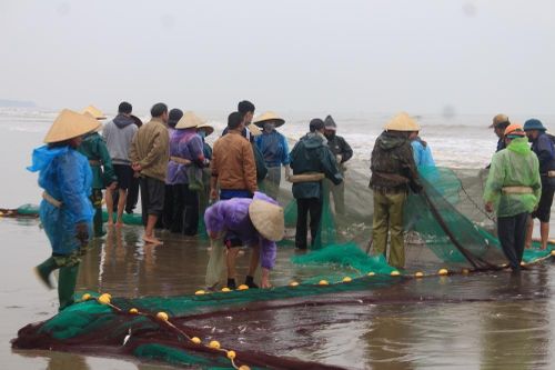 Sầm Sơn – Chợ cá 'rùng' tươi rói trên bãi biển