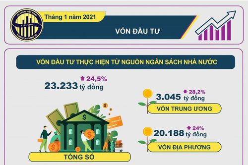 Infographic: Vốn đầu tư tháng 1/2021