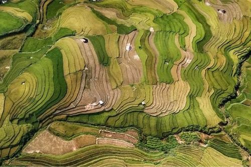 Nhiếp ảnh gia Việt Nam đoạt Huy chương vàng quốc tế