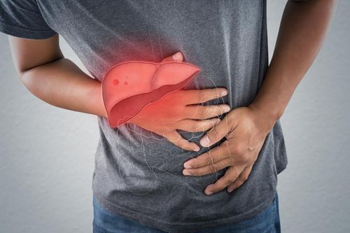 Sự thật về cơ quan lớn thứ hai trong cơ thể