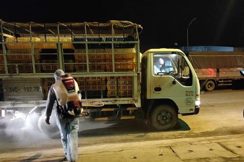 Ngành Nông nghiệp Hải Dương hỗ trợ nông dân tiêu thụ nông sản