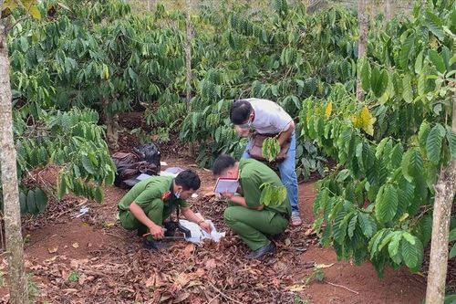 Đắk Nông: Tìm con trai bỏ trốn, sau khi mẹ chết trên rẫy