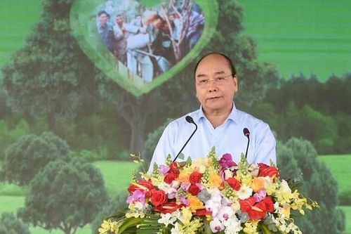 Thủ tướng Nguyễn Xuân Phúc phát động Tết trồng cây tại Phú Yên