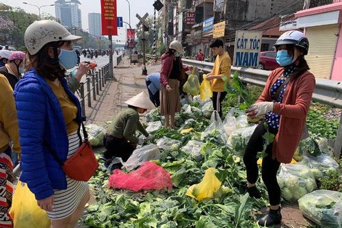 Hàng trăm tấn rau Hải Dương về Hà Nội: Vài nghìn/kg, gọi nhau giải cứu