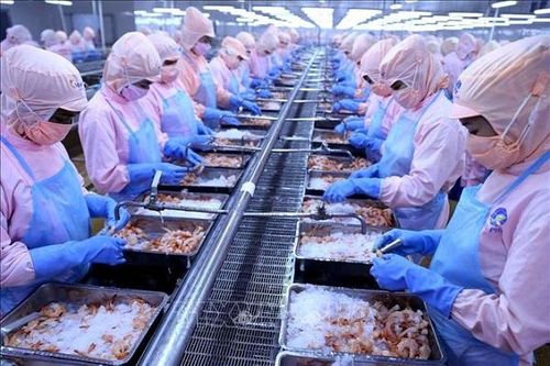 Bộ Công Thương lên tiếng sau khi Mỹ hủy áp thuế chống bán phá giá với 'vua tôm' Minh Phú