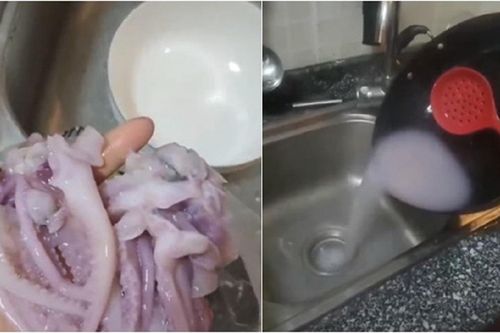 Mua trúng 'mực tàng hình' về luộc, người phụ nữ hốt hoảng phát hiện mực tan biến trong nước
