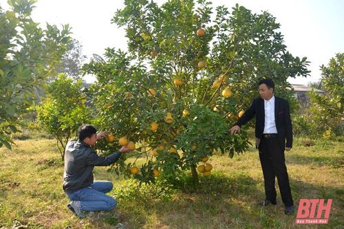 Xã Thuần Lộc 'về đích' nông thôn mới