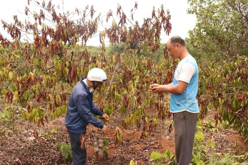 Cạn kiệt nguồn nước ở Tây Nguyên