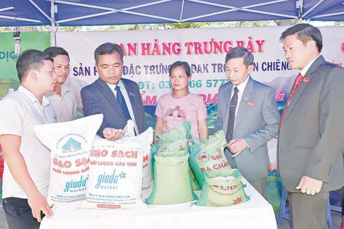 Nâng tầm giá trị gạo đặc sản ở Gia Lai