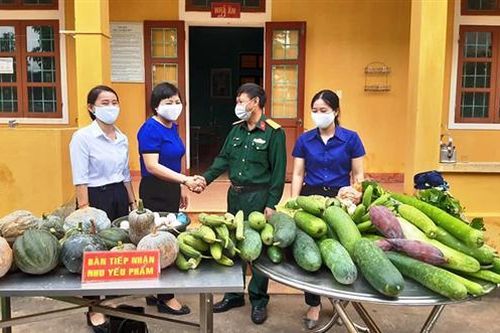 Tết ở khu cách ly