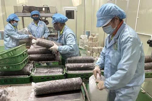 Đưa khoa học kỹ thuật vào sản xuất