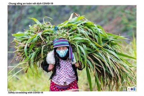 ng bào dân tộc Hà Giang phát triển kinh tế bền vững, chống dịch hiệu quả