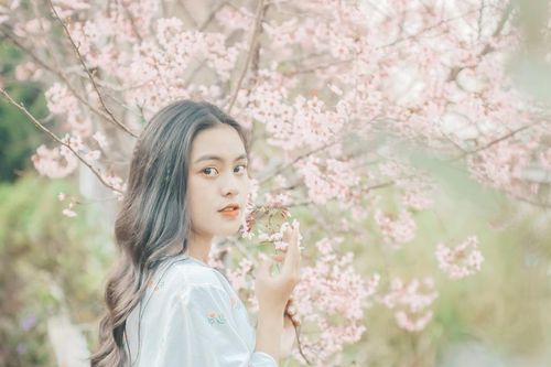Lời mùa xuân và tình yêu cuộc sống