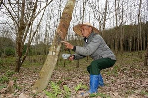 Vượt lên nỗi đau chất độc da cam
