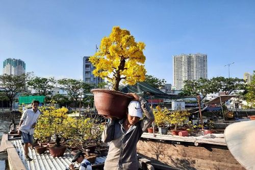 Độc đáo phiên chợ mỗi năm họp một lần ở TP.HCM