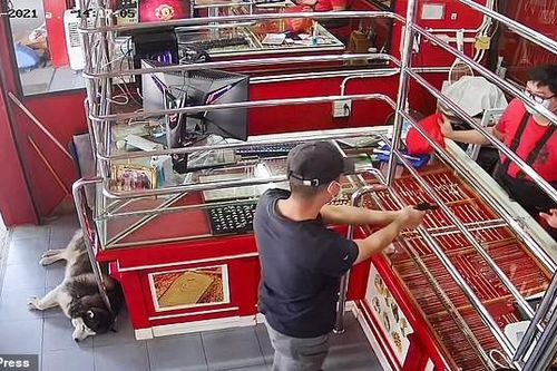 Phì cười với chú chó ngủ say như chết khi chủ bị 'cướp tiệm vàng'